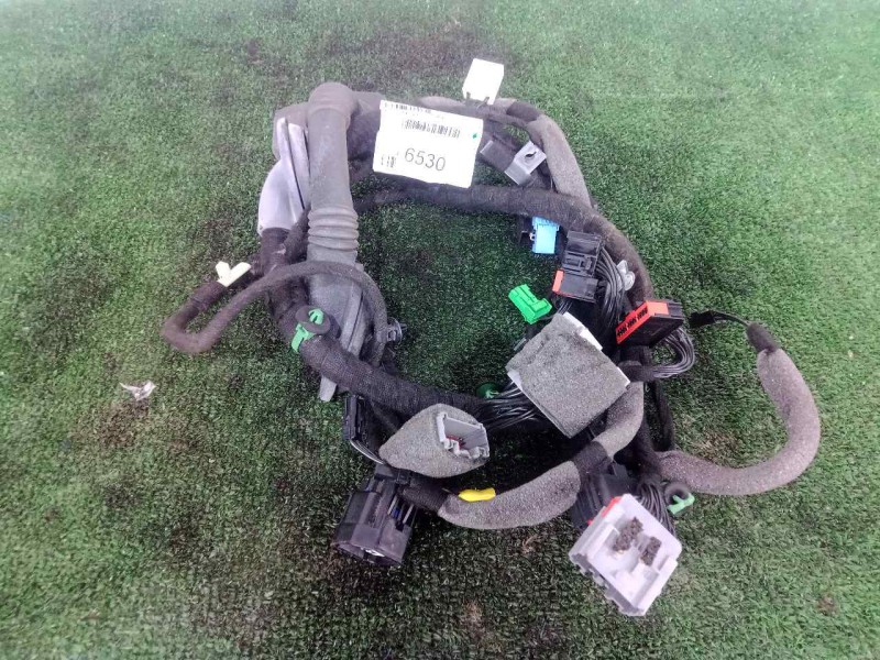 Recambio de instalacion electrica para land rover evoque 2.2 td4 cat referencia OEM IAM EJ3214631 PUERTA.DELANTERA.IZQUIERDA 