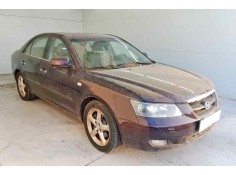 Recambio de puerta delantera derecha para hyundai sonata (nf) 2.0 crdi cat referencia OEM IAM   