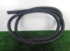 Recambio de gomas contorno puerta para ford kuga (cbs) 1.5 ecoboost cat referencia OEM IAM 5227031-CJ54S20709AD DELANTERA IZQUIE