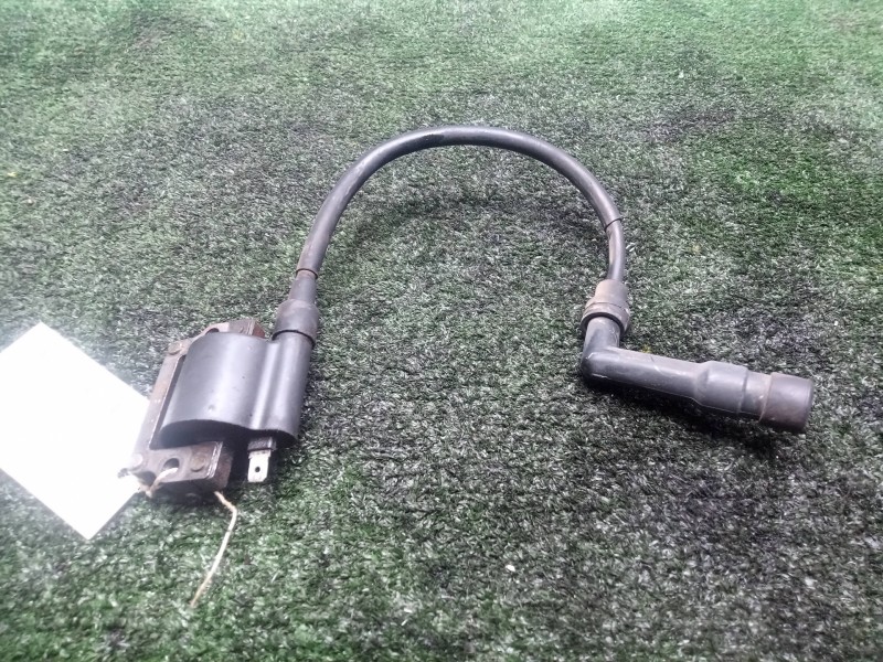 Recambio de bobina encendido para bmw f 650 referencia OEM IAM 129700  