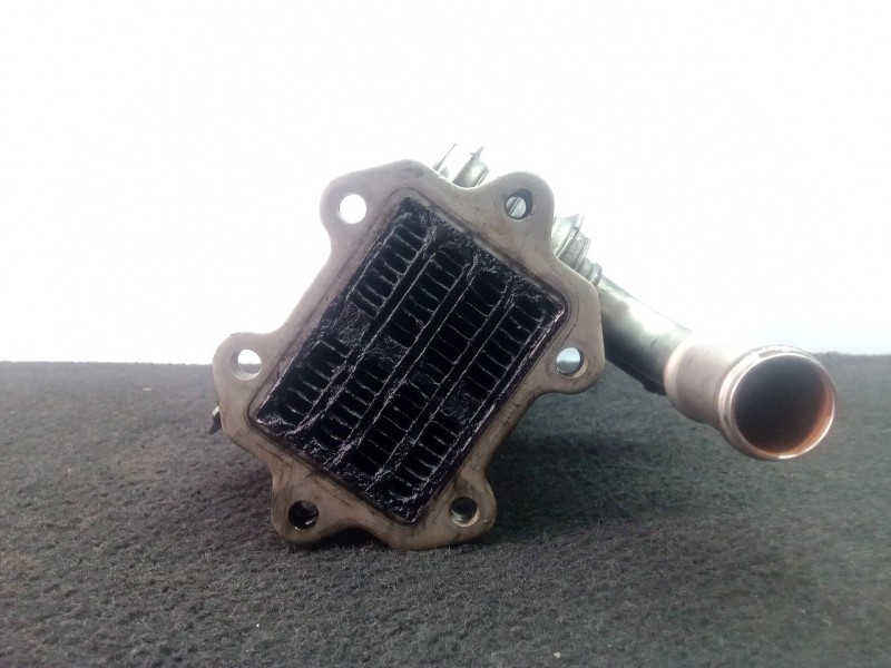 Recambio de enfriador gases egr para volkswagen golf v berlina (1k1) 1.9 tdi referencia OEM IAM 038131513AD-03G131063E  