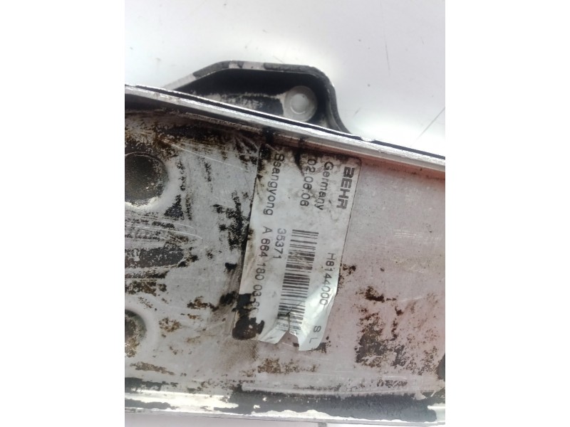 Recambio de enfriador aceite motor para ssangyong kyron 2.0 referencia OEM IAM A6641800365  