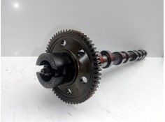 Recambio de arbol de levas para bmw serie 3 berlina (e46) 2.0 16v diesel cat referencia OEM IAM 224954200  
