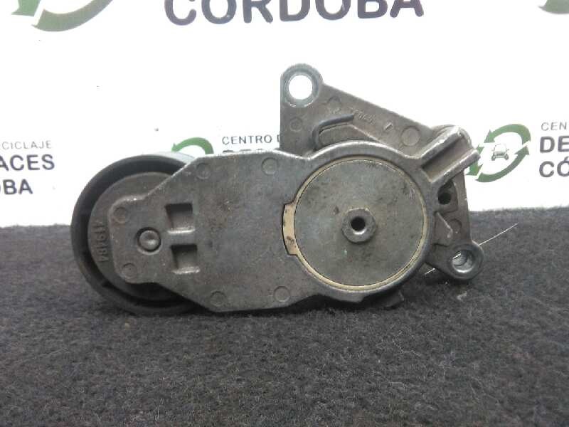 Recambio de tensor correa auxiliar para ford focus c-max (cap) 1.6 tdci cat referencia OEM IAM   