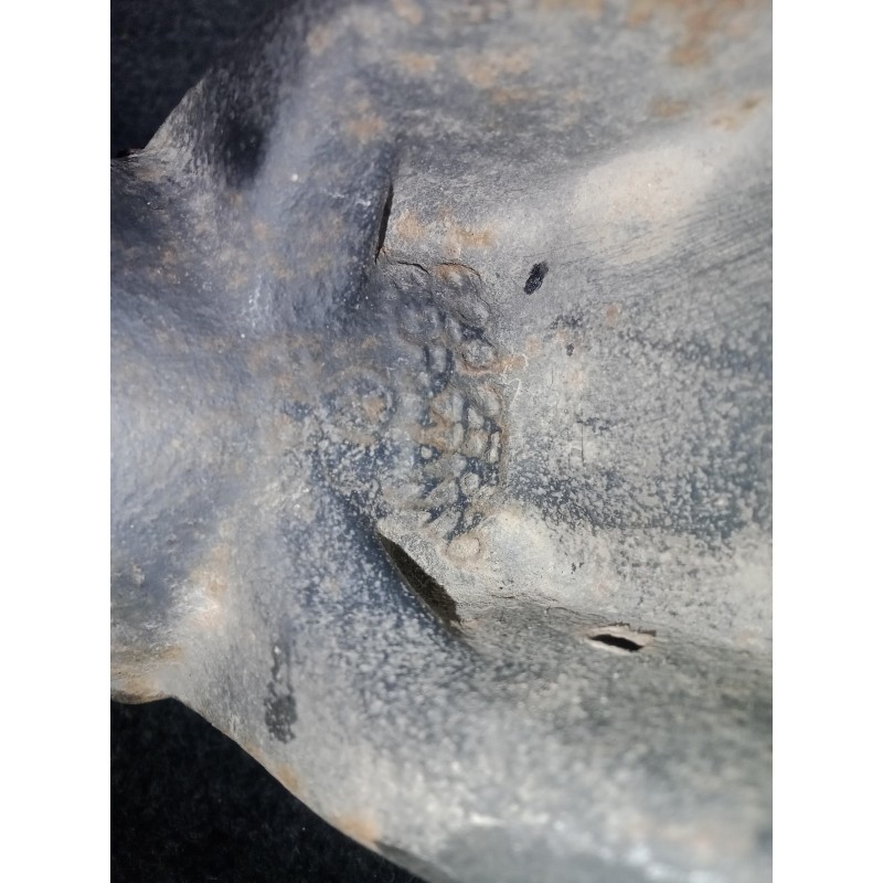 Recambio de mangueta delantera izquierda para seat ibiza (6j5) 1.4 16v referencia OEM IAM 6Q0255AC  