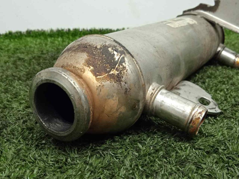Recambio de enfriador gases egr para fiat doblo (119) 1.9 jtd cat referencia OEM IAM 55181418 VALEO 
