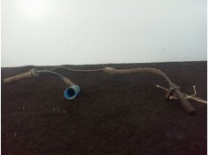 Recambio de sensor para bmw x5 (e53) 3.0 turbodiesel cat referencia OEM IAM 611269087059 2.PINES 