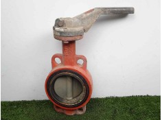 Recambio de valvula expansion para man l 2000 evolution 6.9 diesel referencia OEM IAM DN100-PN1016  