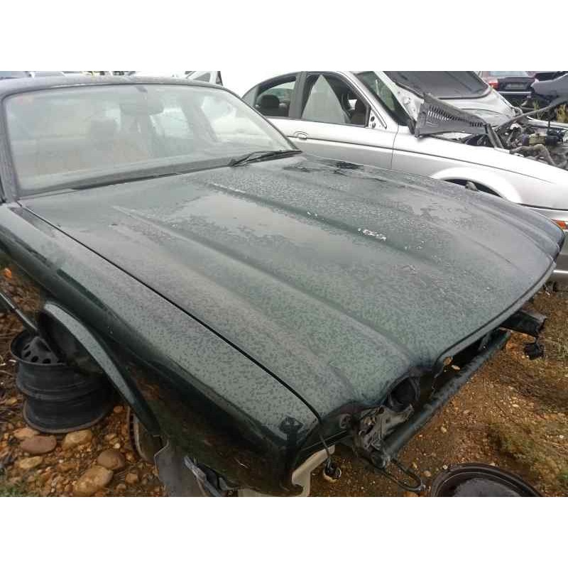 Recambio de capot para jaguar xj6/12 4.0 cat referencia OEM IAM   VERDE