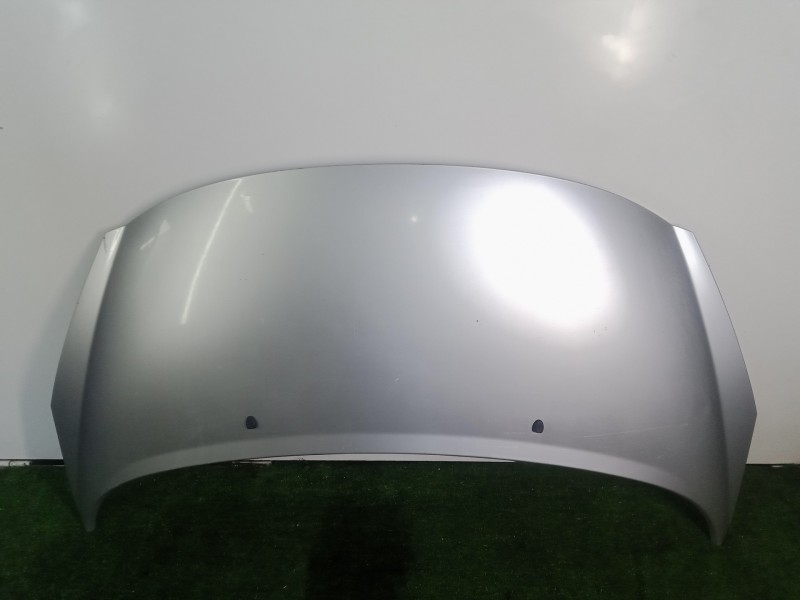 Recambio de capot para peugeot 207 1.4 16v cat (kfu / et3j4) referencia OEM IAM   GRIS