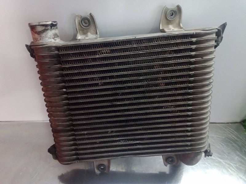 Recambio de intercooler para kia carnival 2.9 turbodiesel cat referencia OEM IAM 55313550  