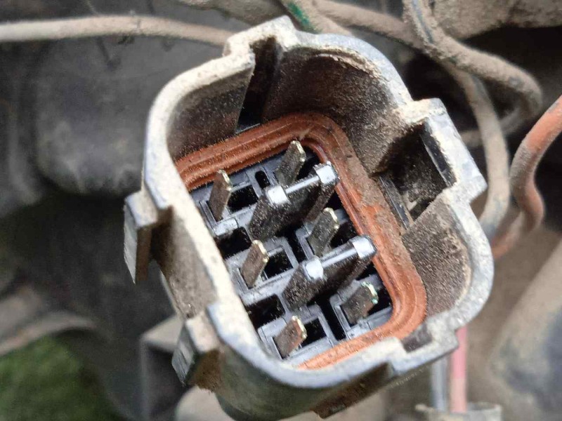 Recambio de piloto trasero derecho para hyundai terracan (hp) 2.9 crdi cat referencia OEM IAM SINREFERENCIA 01-04 