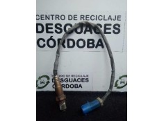 Recambio de sonda lambda para ford focus berlina (cap) 1.6 16v cat referencia OEM IAM 0258006601-3M5190444BB BOSCH 4.PINES