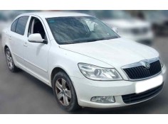 SKODA OCTAVIA BERLINA (1Z3)