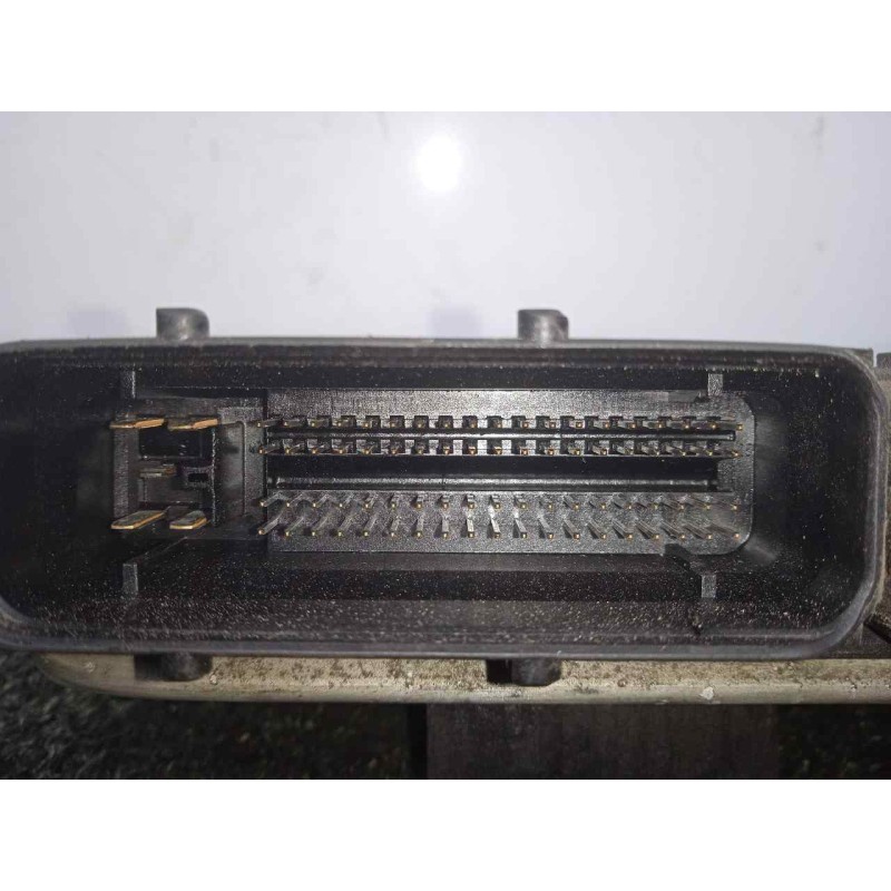 Recambio de centralita motor uce para volkswagen golf iv berlina (1j1) 1.9 sdi referencia OEM IAM 0281010174-038906012BF  BOSCH