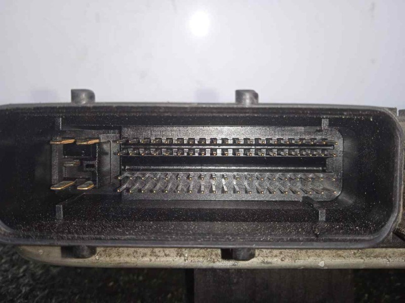 Recambio de centralita motor uce para volkswagen golf iv berlina (1j1) 1.9 sdi referencia OEM IAM 0281010174-038906012BF  BOSCH