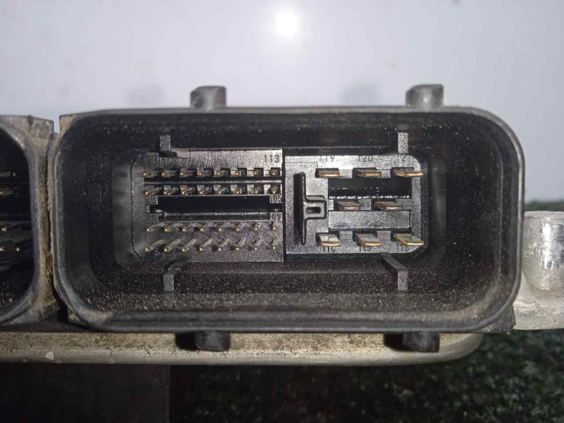 Recambio de centralita motor uce para volkswagen golf iv berlina (1j1) 1.9 sdi referencia OEM IAM 0281010174-038906012BF  BOSCH