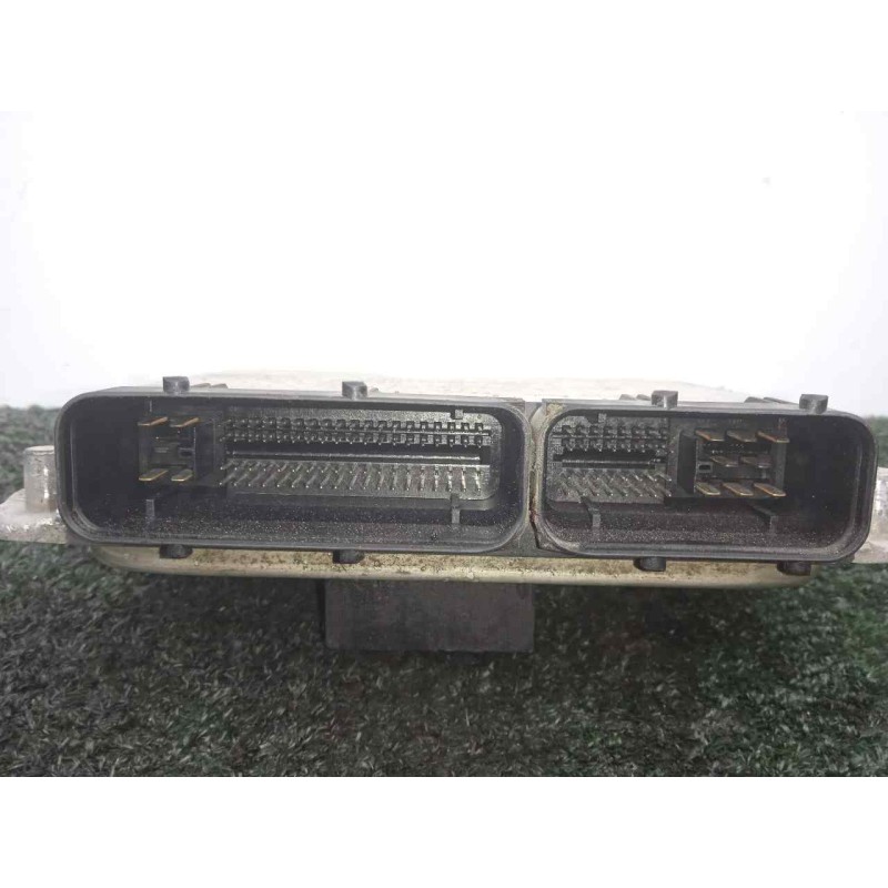 Recambio de centralita motor uce para volkswagen golf iv berlina (1j1) 1.9 sdi referencia OEM IAM 0281010174-038906012BF  BOSCH