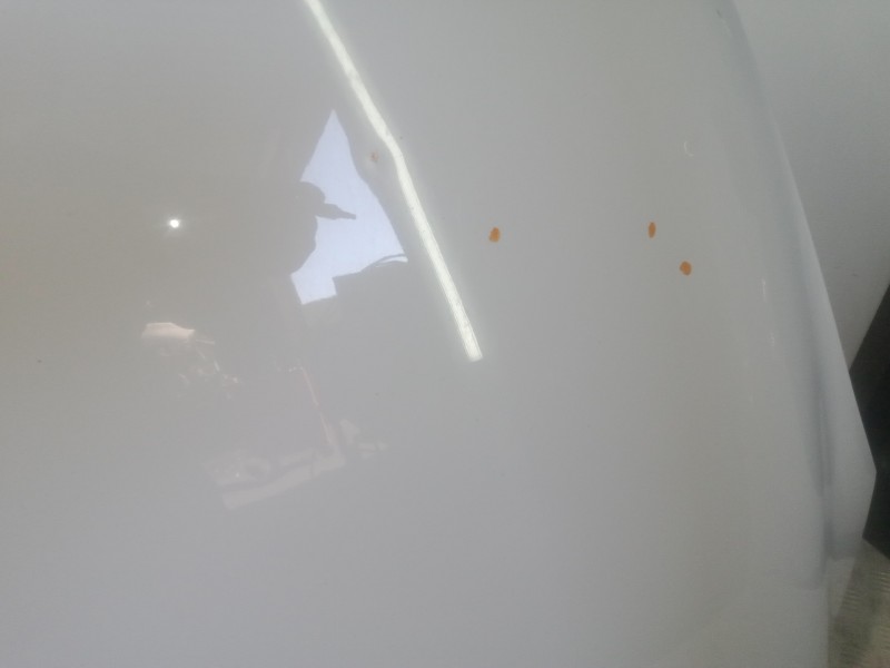 Recambio de capot para renault scenic iii 1.5 dci diesel fap referencia OEM IAM   