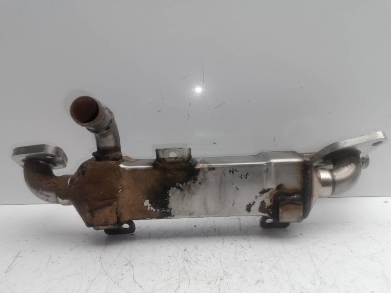 Recambio de enfriador gases egr para ford galaxy (vy) 1.9 tdi cat referencia OEM IAM 038131513C  