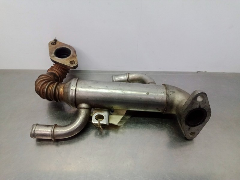 Recambio de enfriador gases egr para seat ibiza (6l1) 1.4 tdi cat (bnm) referencia OEM IAM 045131513L  