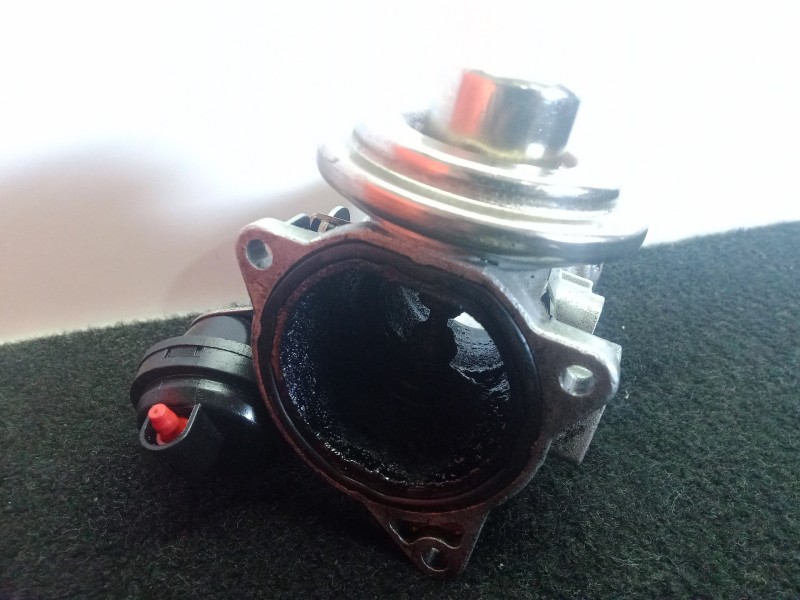 Recambio de valvula egr para volkswagen passat berlina (3b3) 1.9 tdi referencia OEM IAM REFERENCIABORRADA  