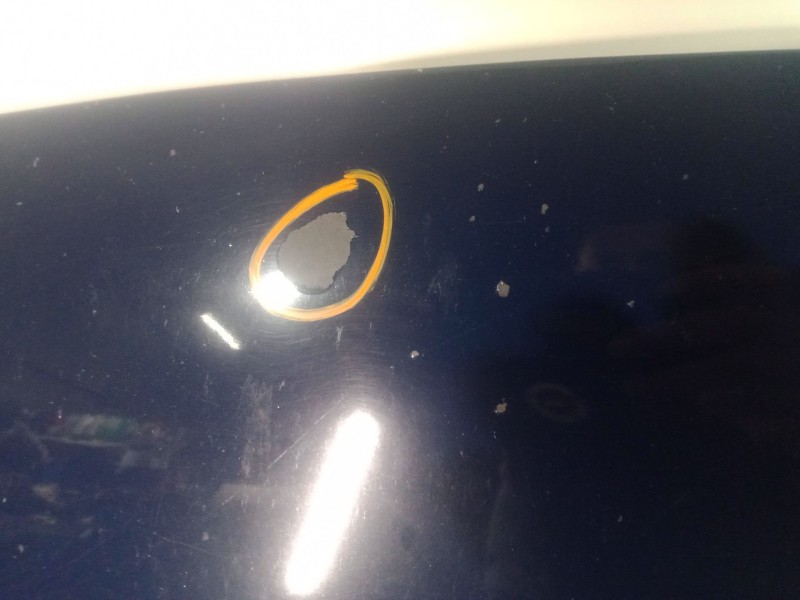 Recambio de capot para seat leon st (5f8) 1.6 tdi referencia OEM IAM SINREFERENCIA  