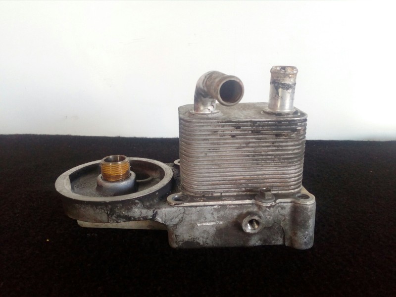 Recambio de enfriador aceite motor para ford focus berlina (cak) 1.8 tdci turbodiesel cat referencia OEM IAM 1S4Q6B624AC  