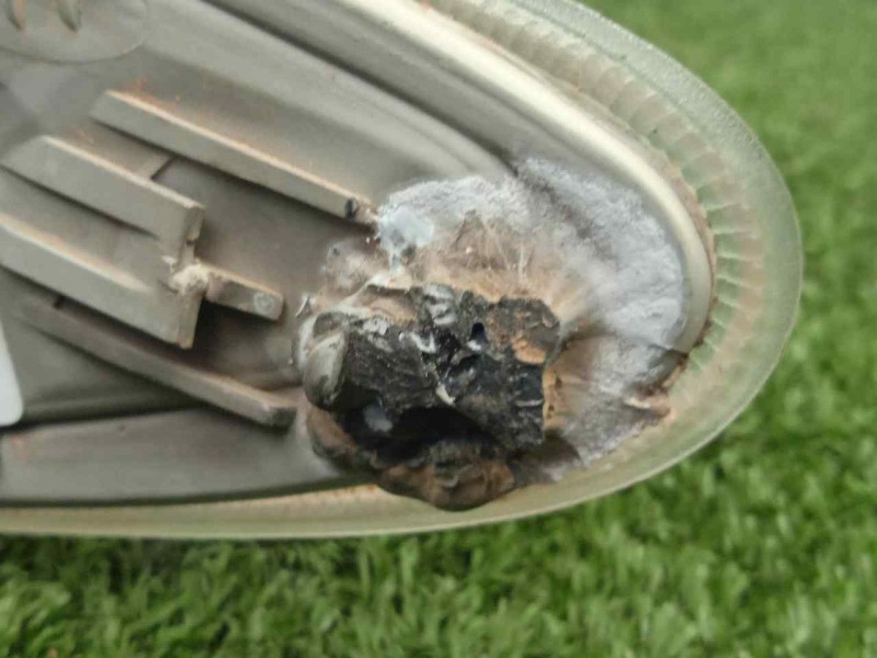 Recambio de piloto delantero derecho para mazda premacy (cp) 2.0 turbodiesel cat referencia OEM IAM  CON.TARAS 