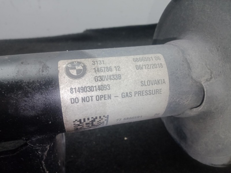Recambio de amortiguador delantero izquierdo para bmw 5 (g30, f90) 520 d referencia OEM IAM 31316866591  