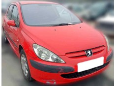 PEUGEOT 307 (S1)