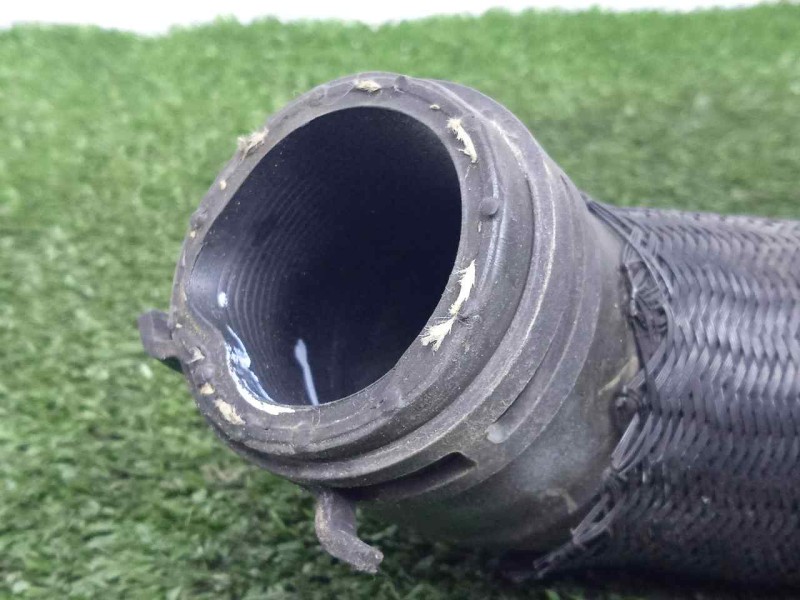 Recambio de tubo para dacia dokker 1.5 blue dci diesel fap cat referencia OEM IAM 215034875R TUBERIA.AGUA 