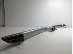 Recambio de moldura para peugeot expert tepee 2.0 hdi cat (rhk / dw10uted4) referencia OEM IAM SIN REFERENCIA  MOLDURA PORTON 2