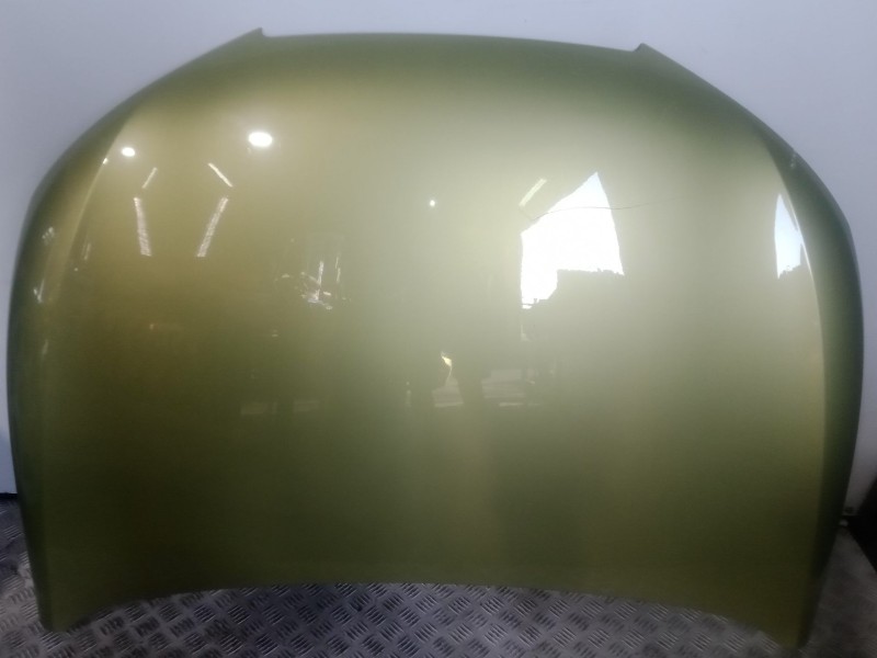 Recambio de capot para seat ibiza iv (6j5, 6p1) 1.4 referencia OEM IAM   VERDE