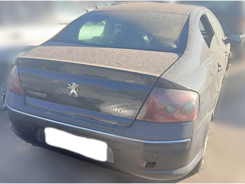 peugeot 407 (6d_) del año 2005