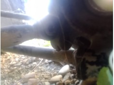 Recambio de barra torsion para land rover freelander (ln) 2.0 turbodiesel referencia OEM IAM  TRAS.DER  2