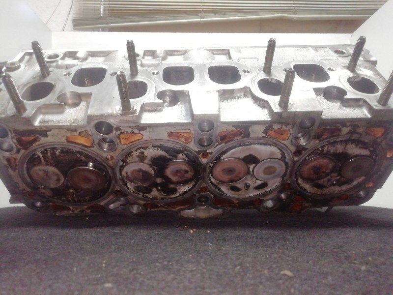 Recambio de culata para seat ibiza iii (6l1) 1.9 tdi referencia OEM IAM 038103373R  