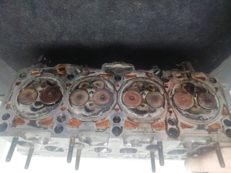 Recambio de culata para volkswagen passat b5 (3b2) 1.9 tdi referencia OEM IAM 038103373R  