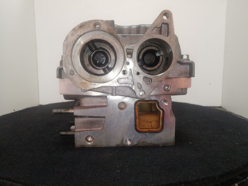 Recambio de culata para fiat doblo cargo (263_) 1.3 d multijet (263wxu1a) referencia OEM IAM 55264994  