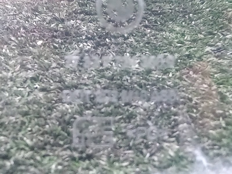 Recambio de cupula para bmw k 1600 gt/gtl referencia OEM IAM 773377243509  