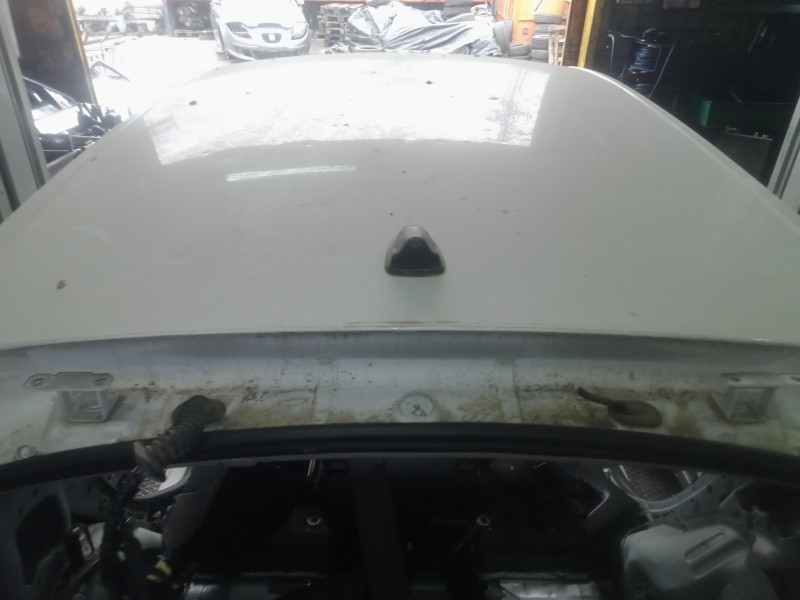 Recambio de techo para renault scenic iii 1.5 dci diesel fap referencia OEM IAM   