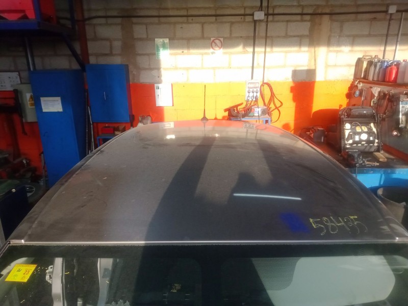 Recambio de techo para renault scenic iii 1.6 dci diesel fap referencia OEM IAM   