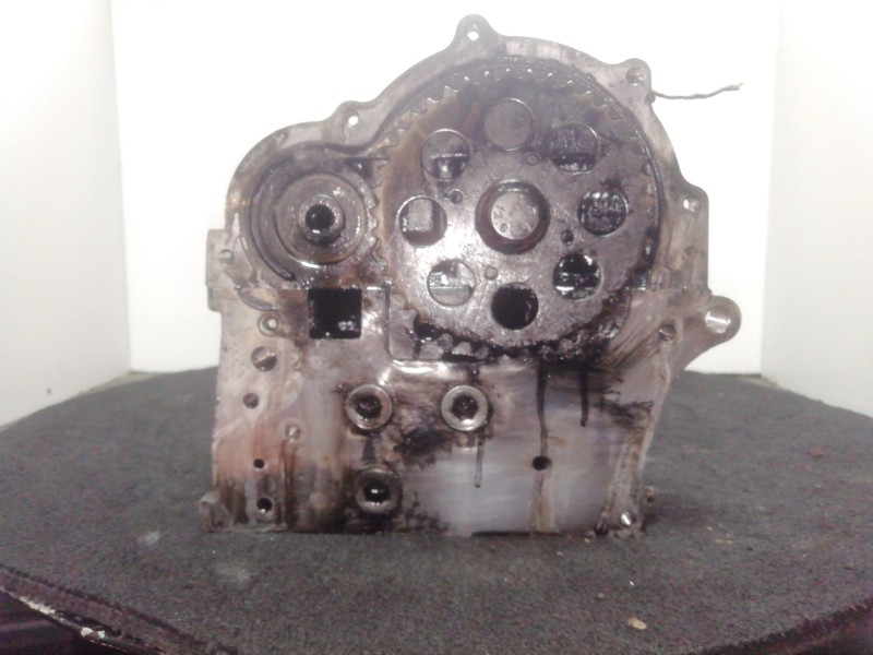 Recambio de culata para fiat doblo cargo (263_) 1.3 d multijet (263wxu1a) referencia OEM IAM 55264994  