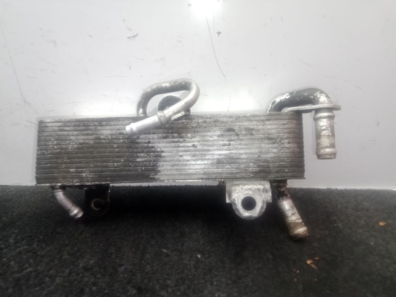 Recambio de radiador gasoil para audi a8 d3 (4e2, 4e8) 4.0 tdi quattro referencia OEM IAM 057203491  