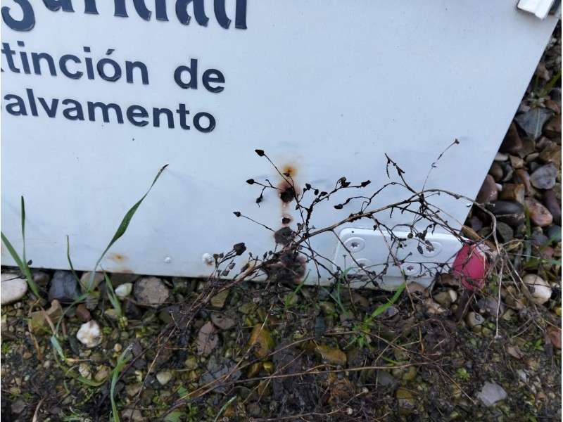 Recambio de puerta delantera derecha para pegaso (truck) 3046/10 4x4 pc 10.0 cc diesel referencia OEM IAM   