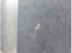 Recambio de capot para seat ibiza iii (6l1) 1.4 16v referencia OEM IAM    2