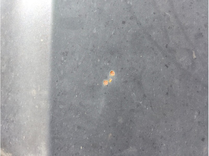 Recambio de capot para seat ibiza iii (6l1) 1.4 16v referencia OEM IAM   