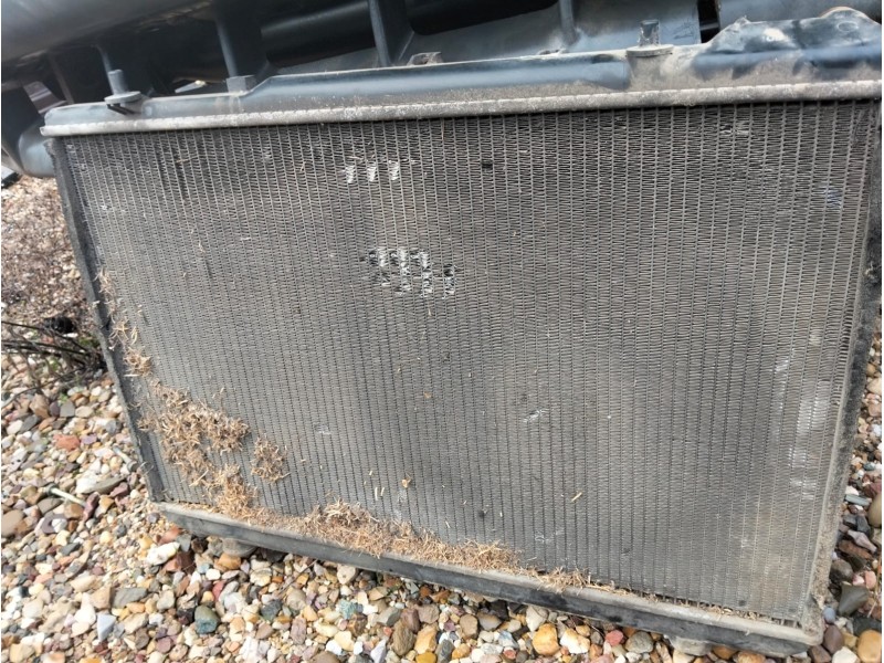 Recambio de radiador agua para ssangyong korando 2.3 turbodiesel cat referencia OEM IAM   
