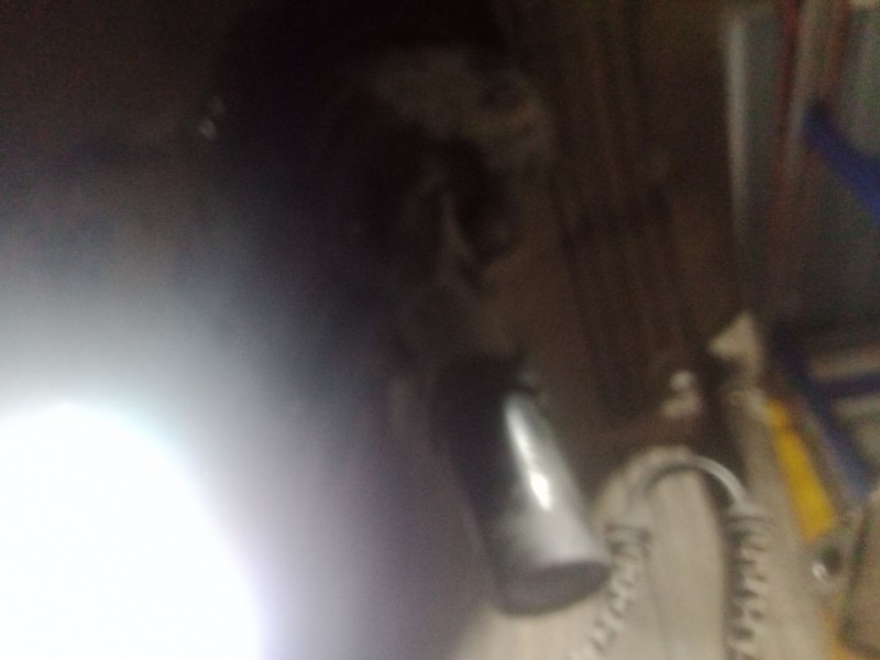 Recambio de amortiguador delantero derecho para renault scénic iv (j9_) 1.3 tce 140 referencia OEM IAM   