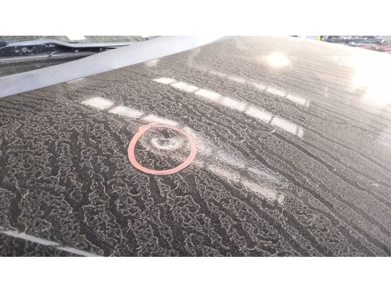 Recambio de capot para opel corsa c (x01) 1.3 cdti (f08, f68) referencia OEM IAM   